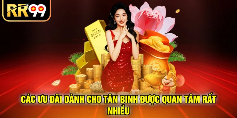 Các ưu đãi dành cho tân binh được quan tâm rất nhiều